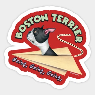 funny cute dog Boston Terrier Going Places in classic plane for mom and dad gift Sticker